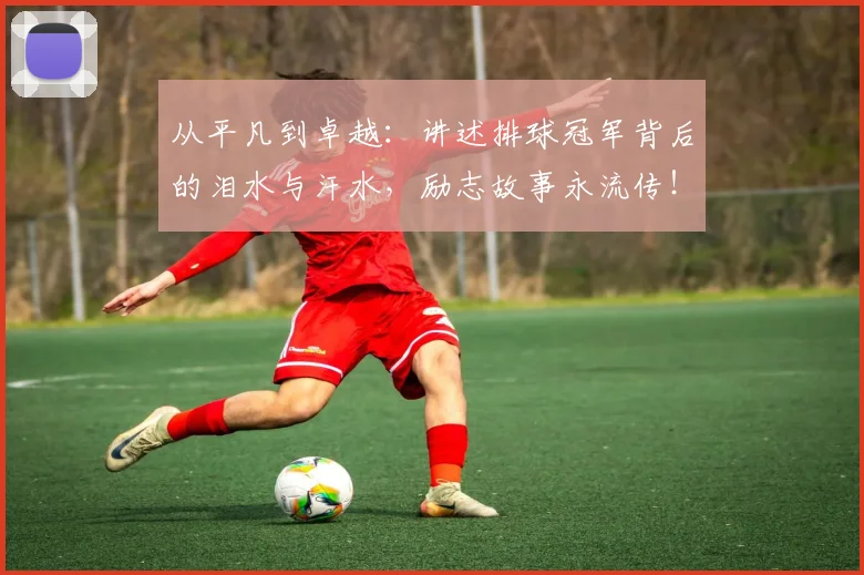 从平凡到卓越：讲述排球冠军背后的泪水与汗水，励志故事永流传！
