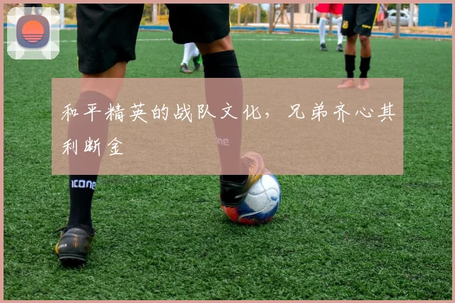 和平精英的战队文化，兄弟齐心其利断金